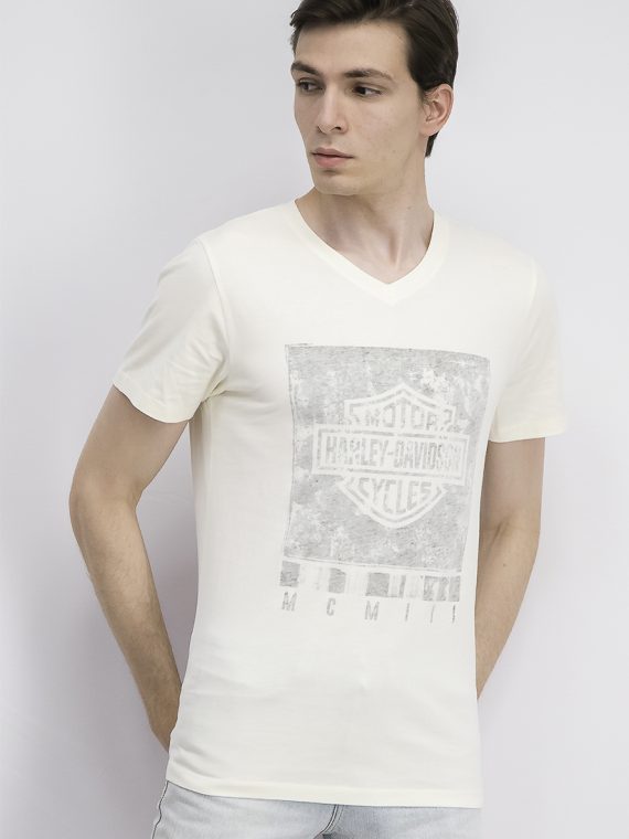Mens Graphic V-neck T-shirt Tofu