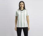 Womens Stripe Print V Neck T-shirt White/Ash Green