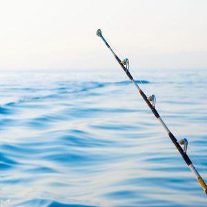 Game Fishing Tour – Sightseeing and Tours Bahrain Mega Deals Best Online Shopping Deals and Discounts in Bahrain, GCC