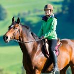 Horse riding – Recently Added Experiences Bahrain Mega Deals Best Online Shopping Deals and Discounts in Bahrain, GCC 3