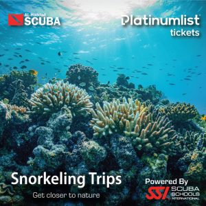 Snorkeling Daily Trips in Jeddah – Attractions Special Offers Bahrain Mega Deals Best Online Shopping Deals and Discounts in Bahrain, GCC